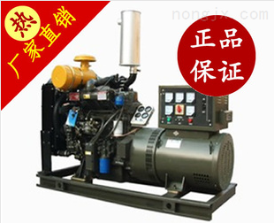 北京汽油發(fā)電機(jī)|廣州汽油發(fā)電機(jī)|重慶汽油發(fā)電機(jī)-上海罕莎實(shí)業(yè)